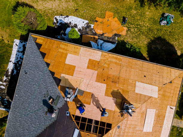 Best Roof Maintenance Services  in Koloa, HI